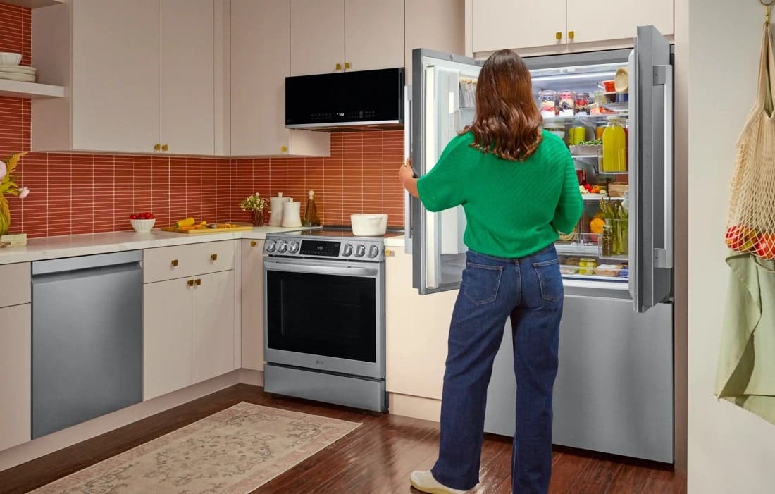 LG LF24Z6530S Printproof Stainless Steel