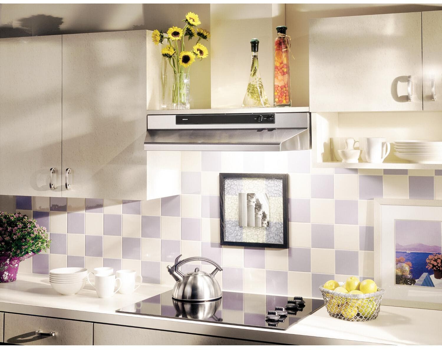Broan 464204 Stainless Steel