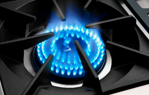Capital Indoor CGMR362B2N 36" Pro-Style Gas Range with 4 Open Burners, True ...