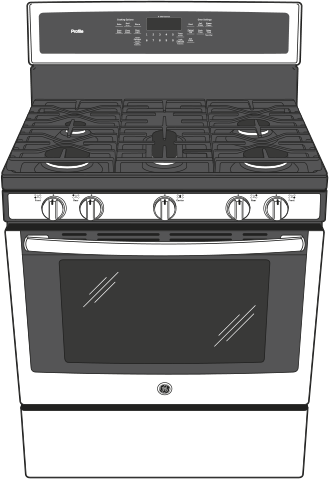 GE PGB911FEJDS Black Slate
