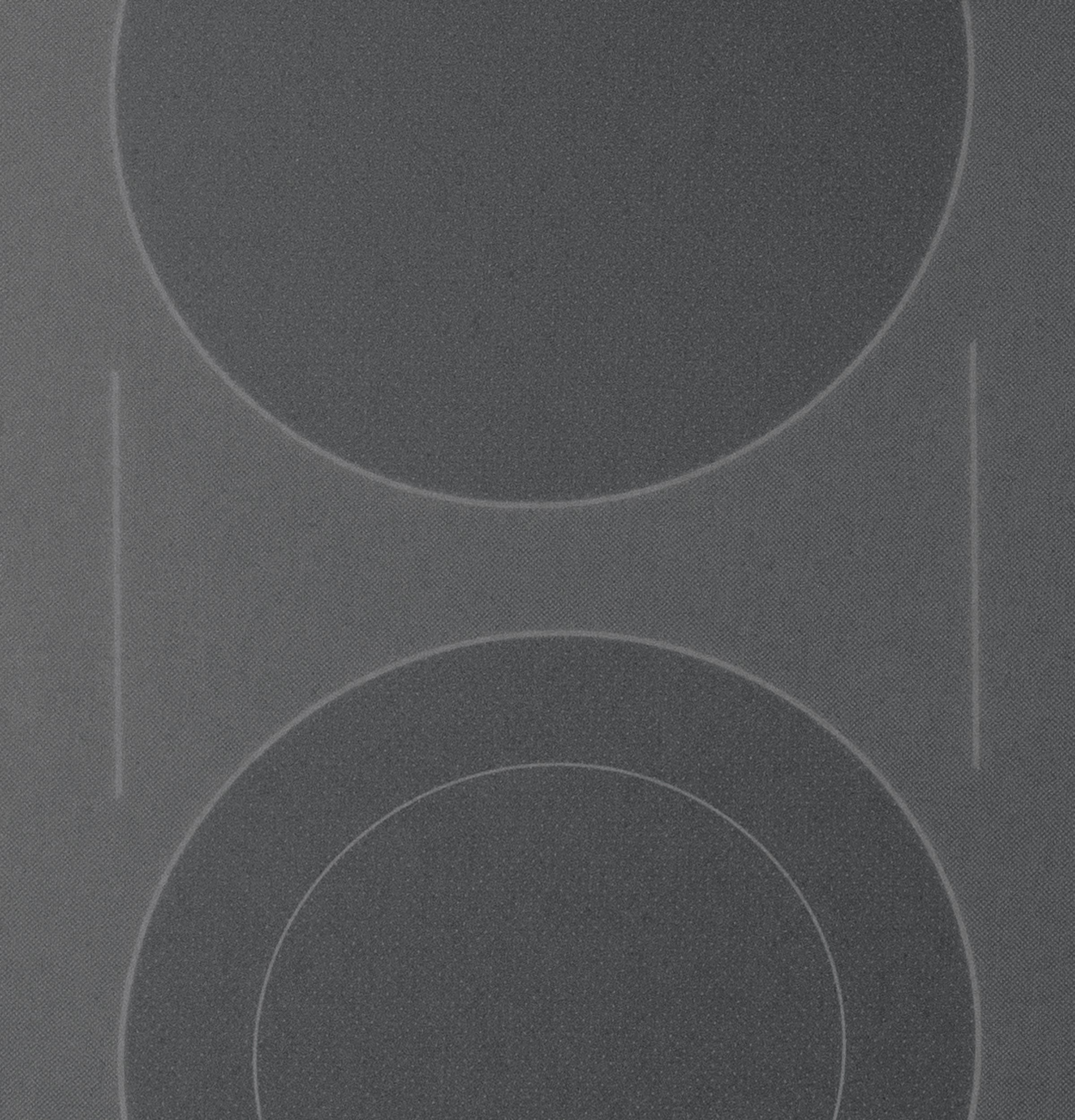 GE PS920SFSS Stainless Steel