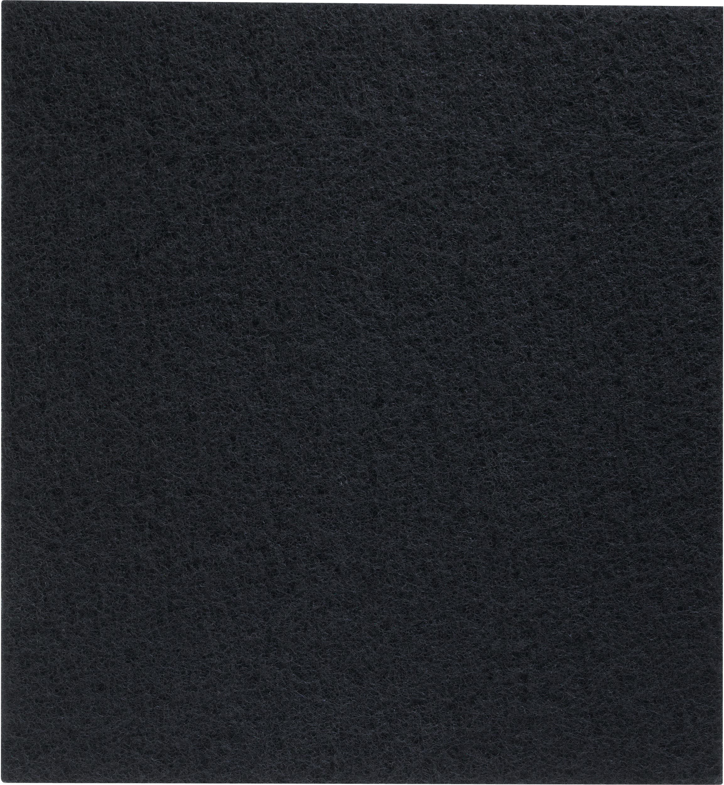 GE RAPCF2 Replacement Charcoal Filter