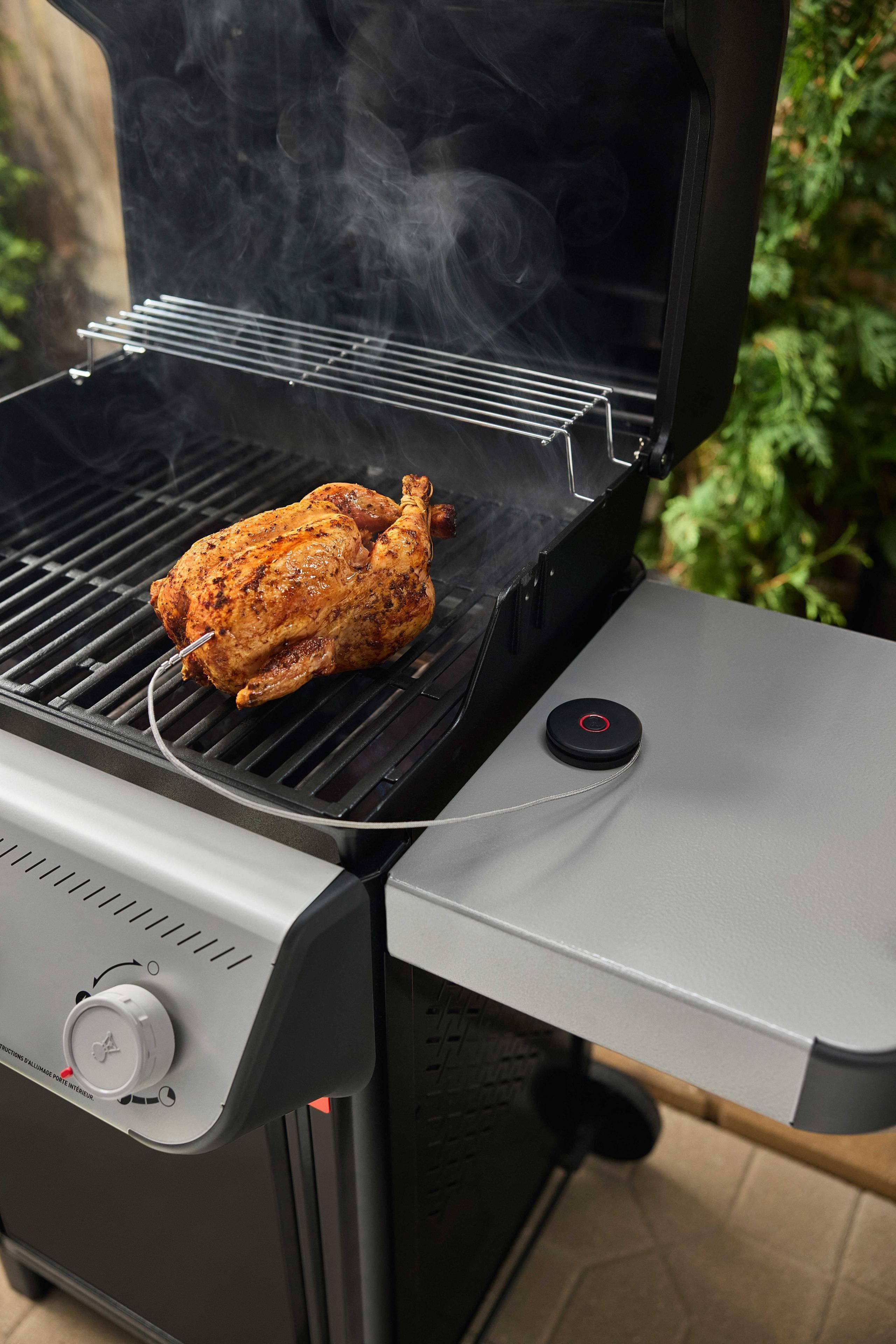 Weber 3400516 