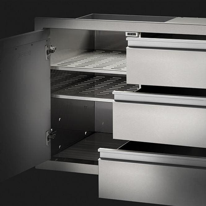 Napoleon BI42241D3DR Stainless Steel