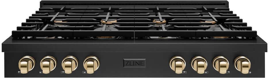 Zline SRTBZ48G Black Stainless Steel With Polished Gold Accents
