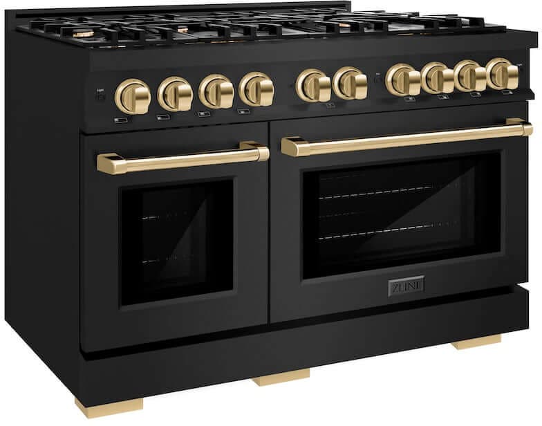 Zline HDRBZ48G Black Stainless Steel With Polished Gold Accents