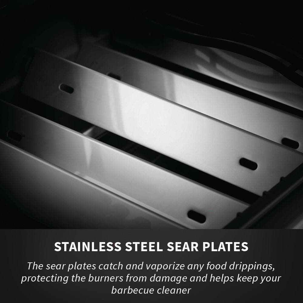Napoleon BIG44RBNSS1 Stainless Steel, NG