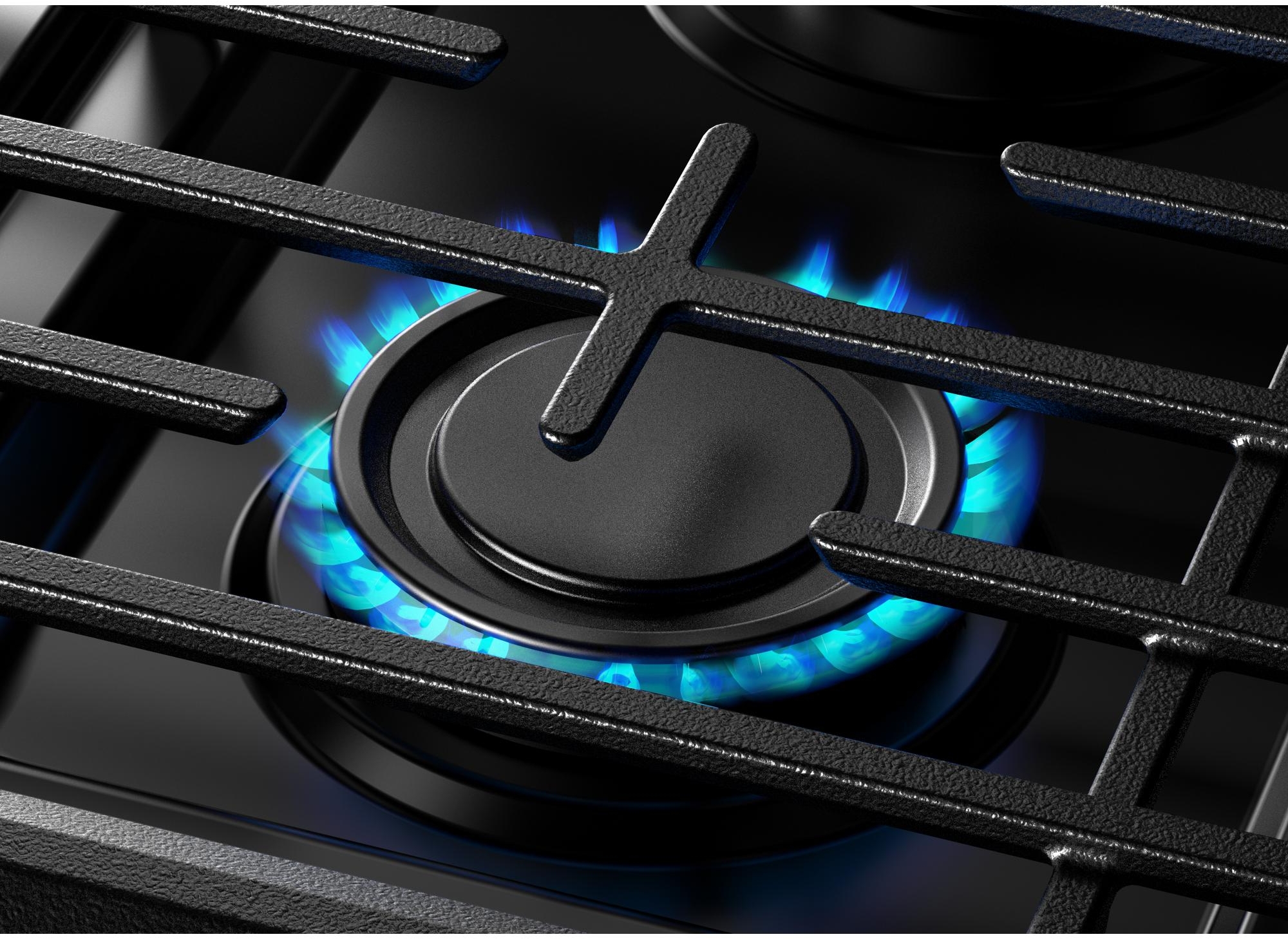 Whirlpool WFGS3530RS Stainless Steel