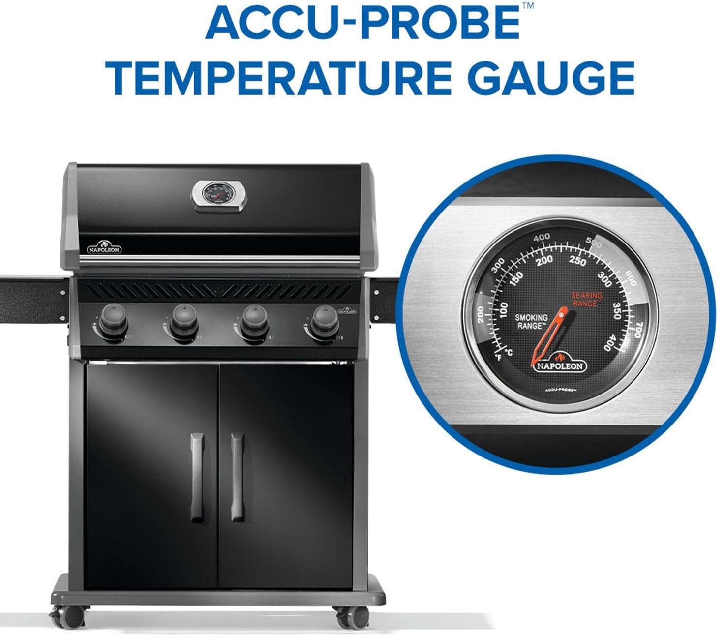 Napoleon R525PK2SS Black With Stainless Steel Grids, Liquid Propane