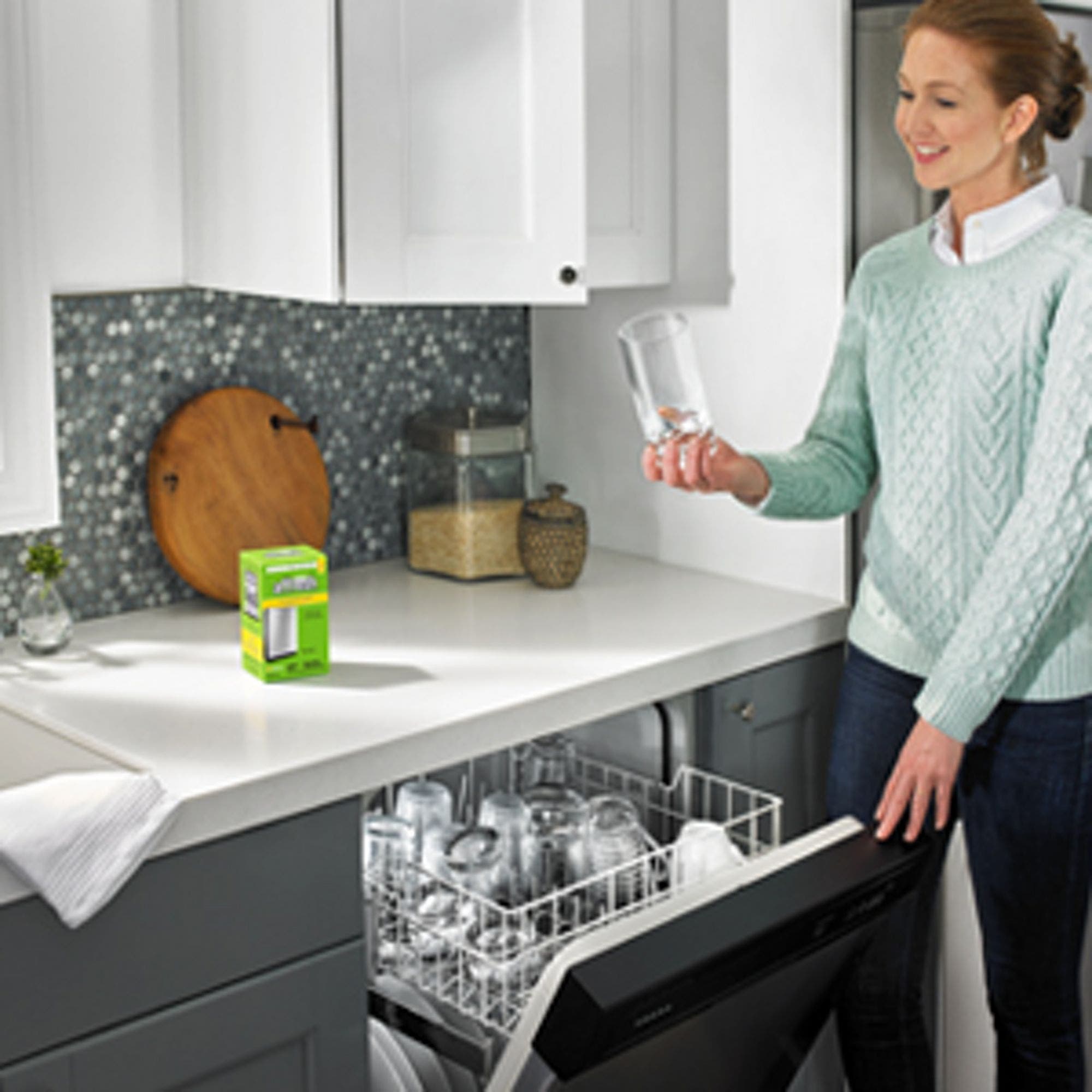 Whirlpool W10282479 Dishwasher and Disposal Cleaner
