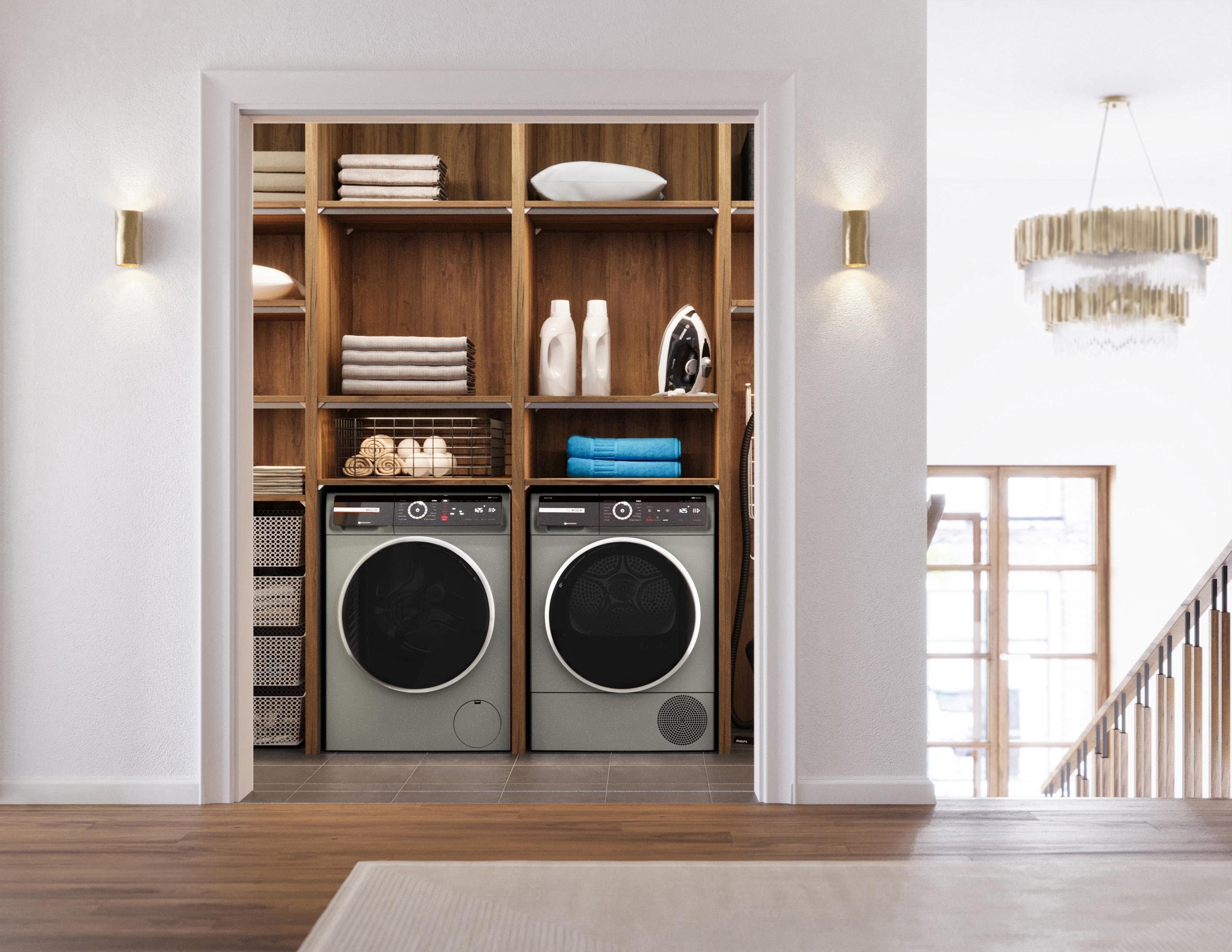 Bosch WGB246AXUC Pearl Steel