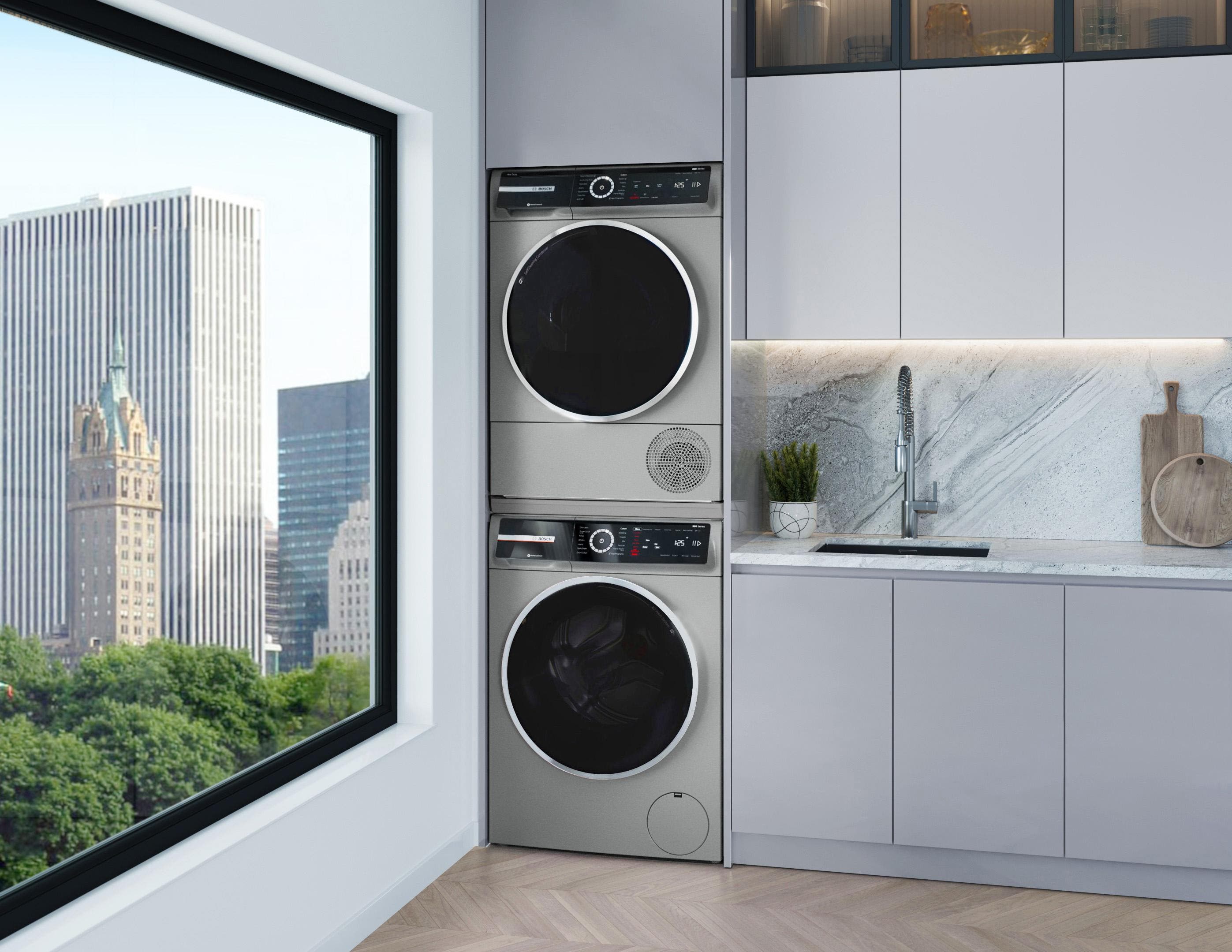 Bosch WGB246AXUC Pearl Steel
