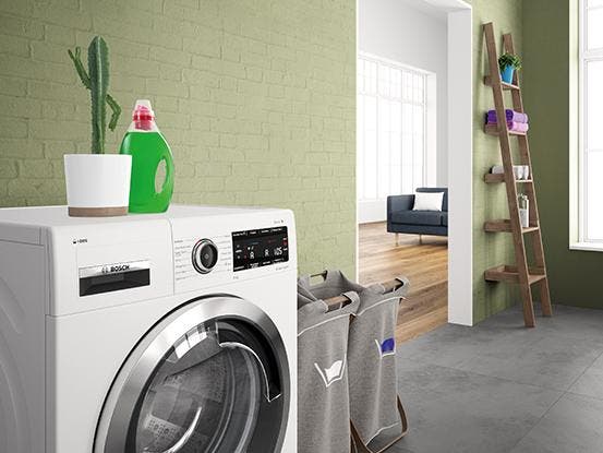 Bosch WGB246AXUC Pearl Steel