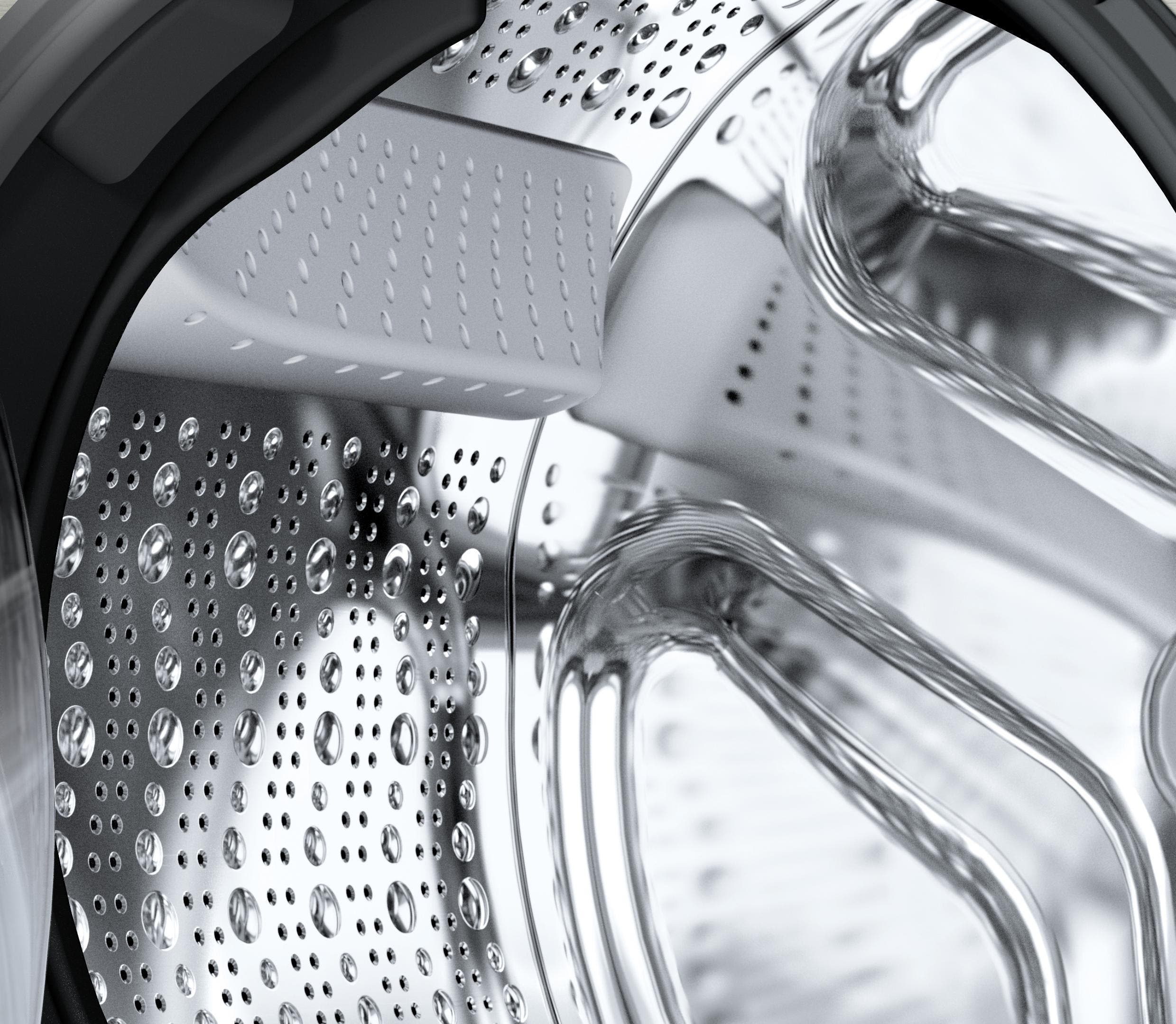 Bosch WGB246AXUC Pearl Steel