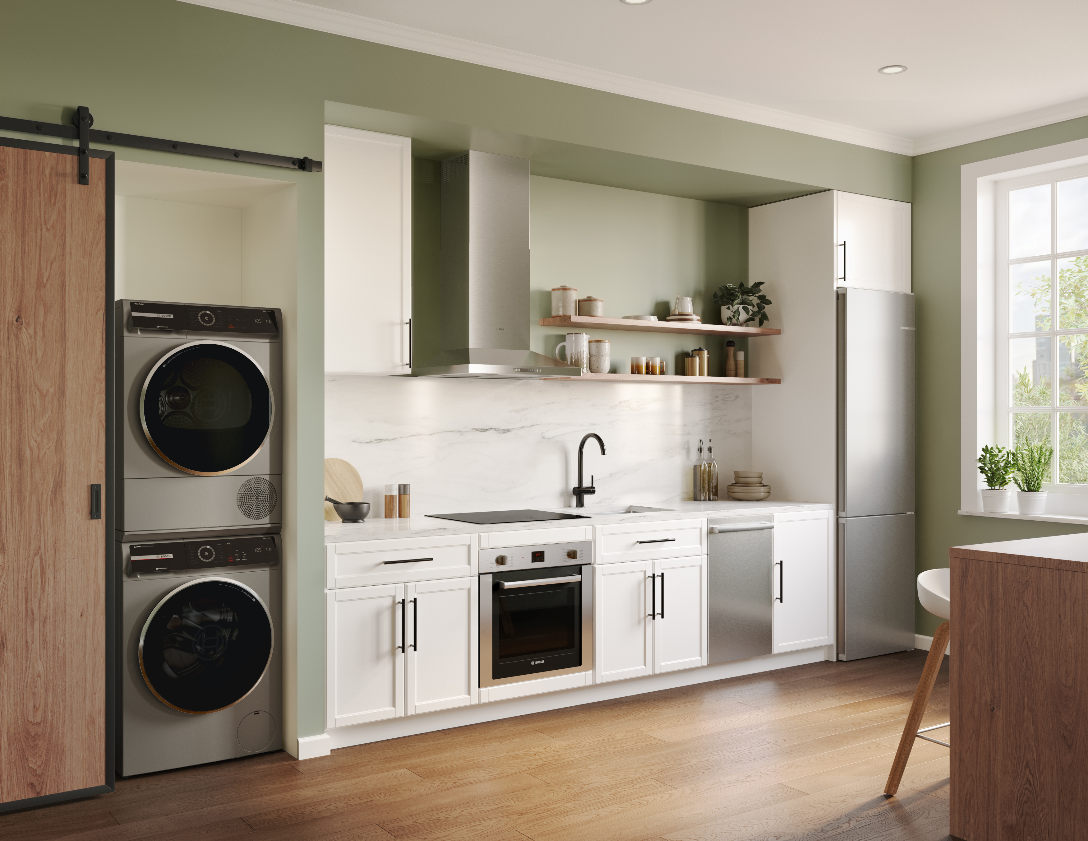 Bosch WGB246AXUC Pearl Steel