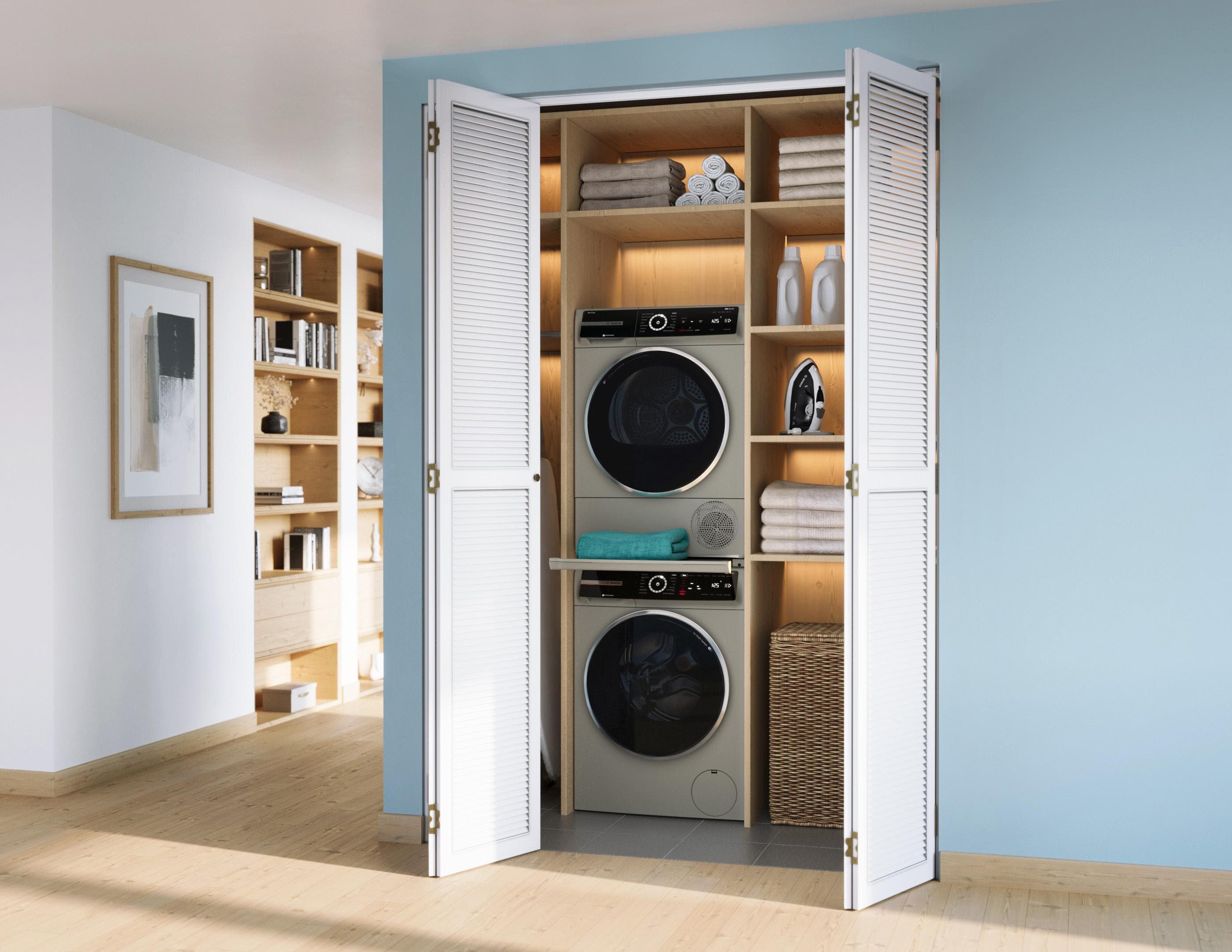 Bosch WGB246AXUC Pearl Steel