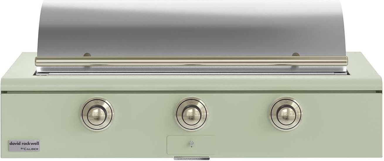 Caliber CRG48BN00A129H01 Sage With Brass Hardware, Natural Gas
