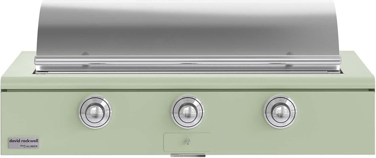 Caliber CRG48BN00A129H02 Sage With Chrome Hardware, Natural Gas