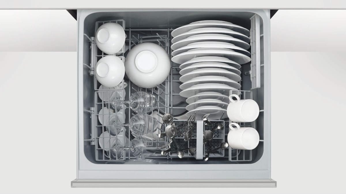 Fisher Paykel DD24DAX9N Stainless Steel
