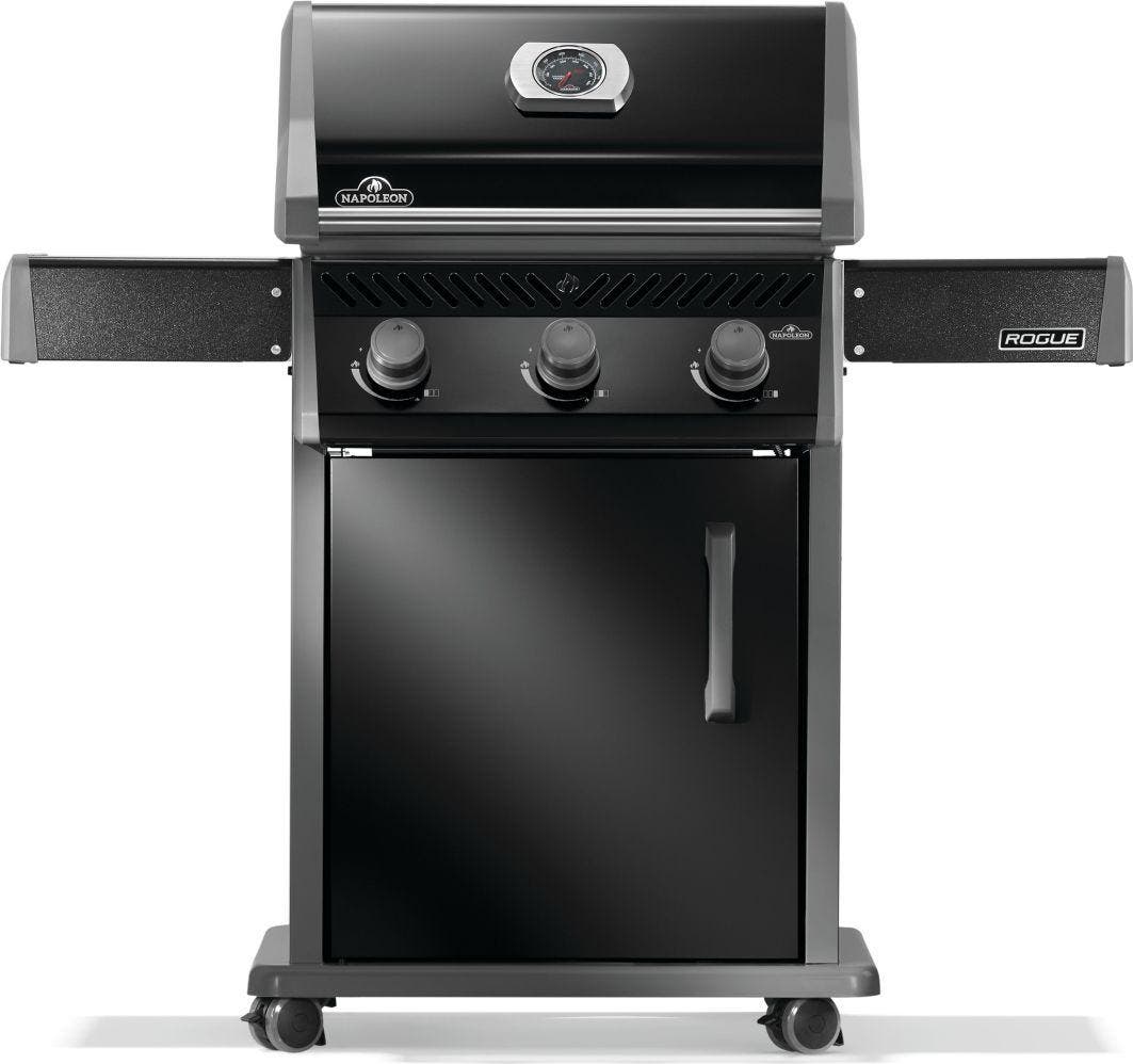 Napoleon R425PK2SS