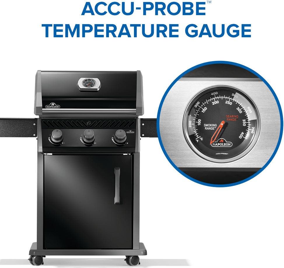 Napoleon R425PK2SS Black, Liquid Propane