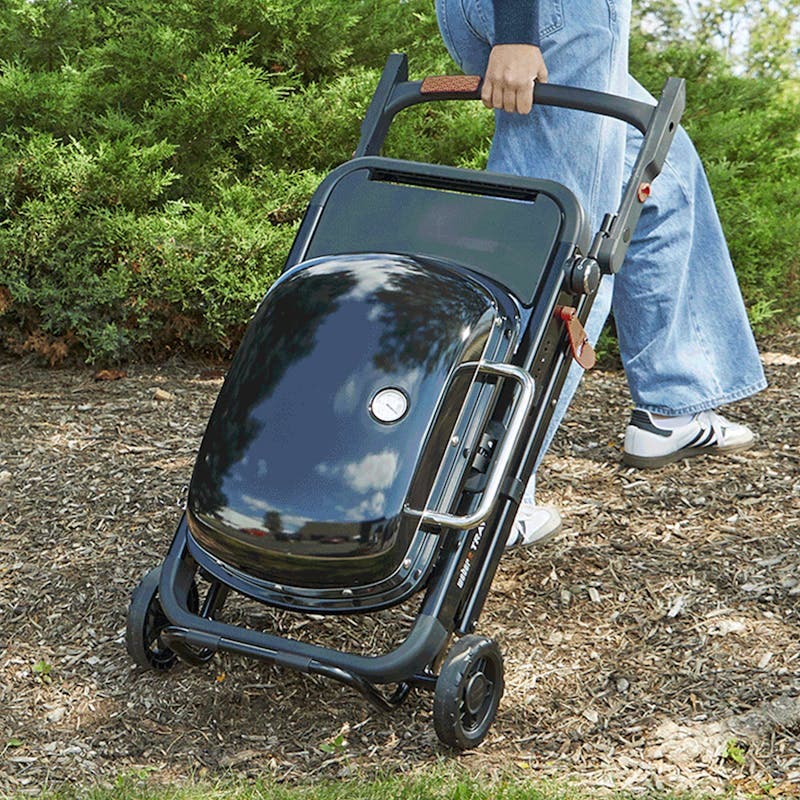 Weber 1501741 Liquid Propane, Black