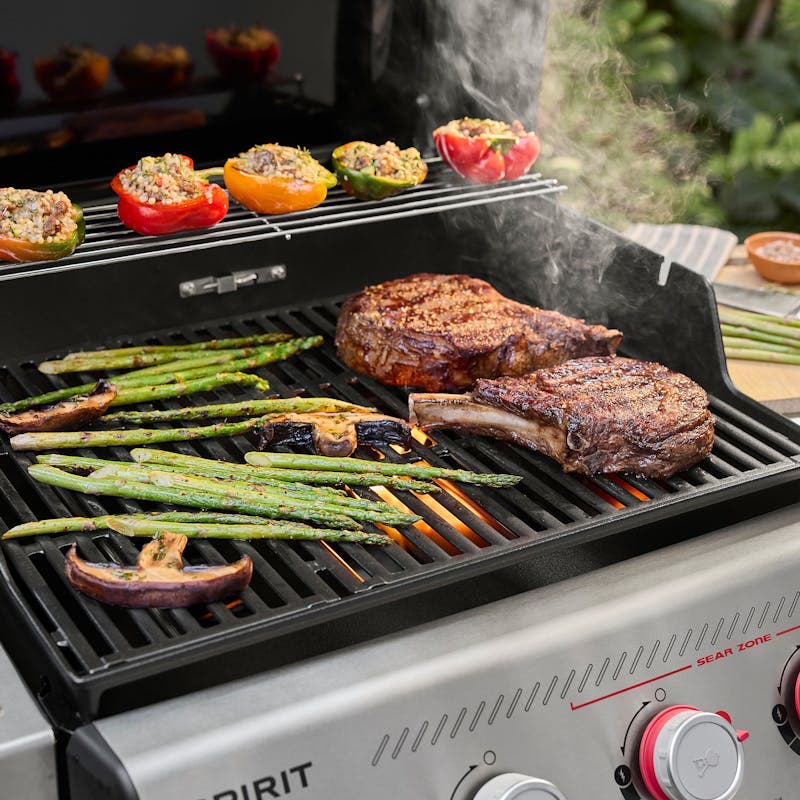 Weber 1502067 Liquid Propane, Black