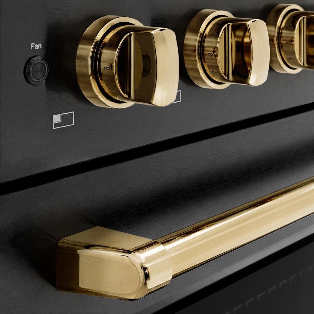 Zline SINRBZ24G Black Stainless Steel With Polished Gold Accents