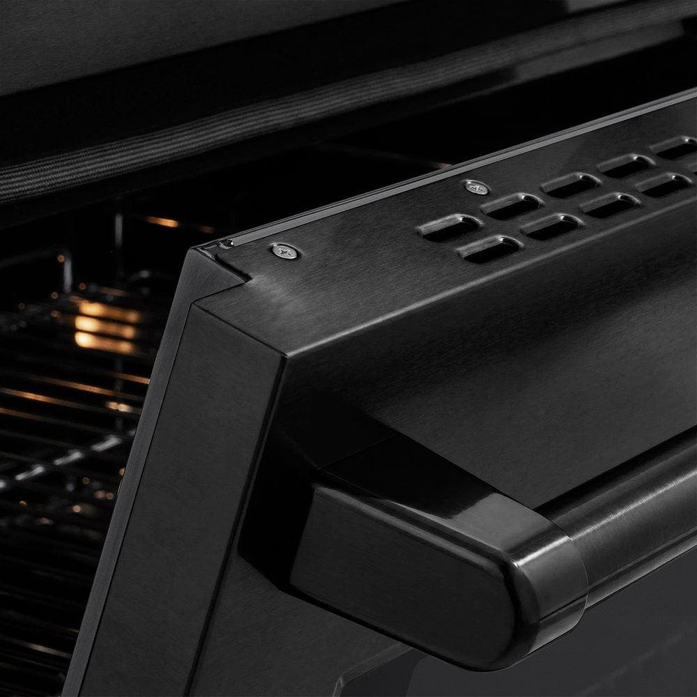 Zline SINRB30 Black Stainless Steel
