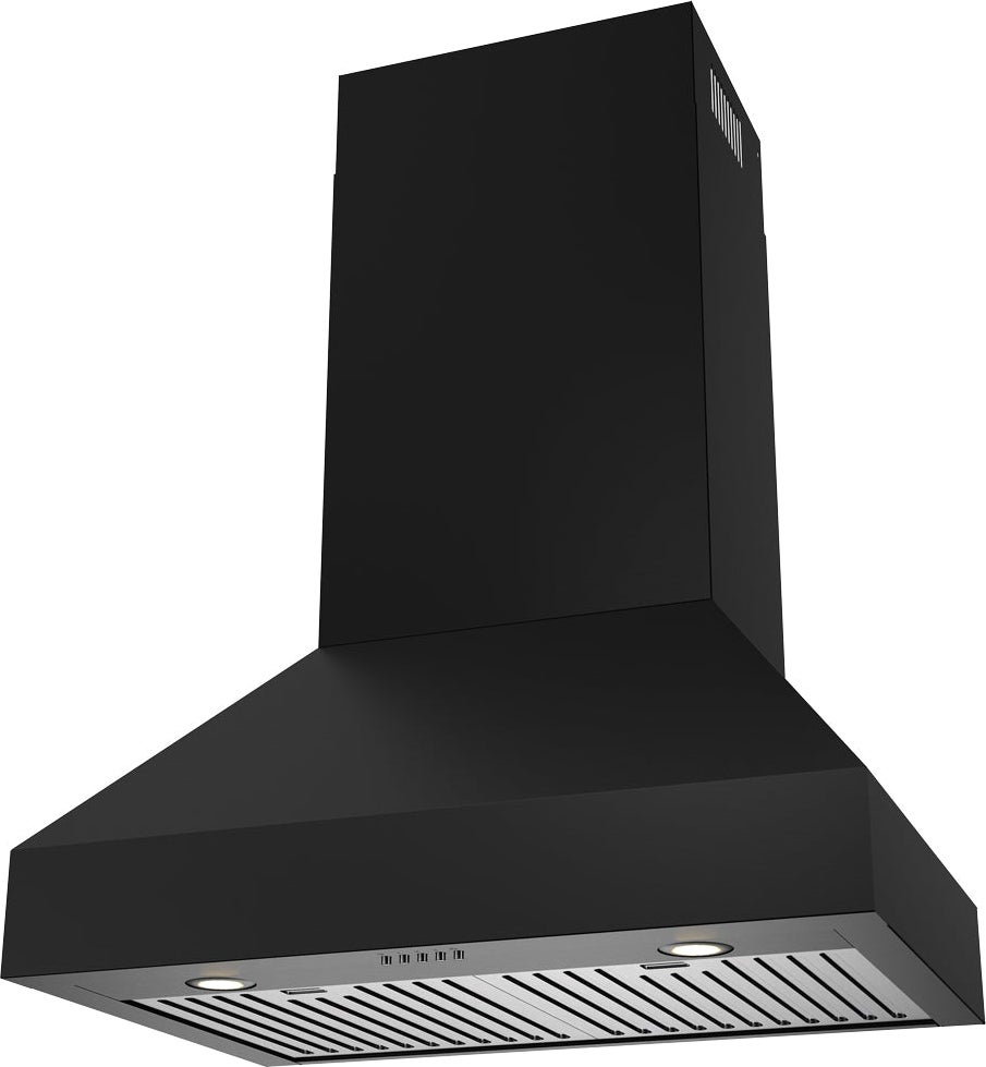 TENPOS フードウォーマー TBPM-3T Thor TRH30PB Professional Wall Mount Pyramid Range Hood: 30 Inch
