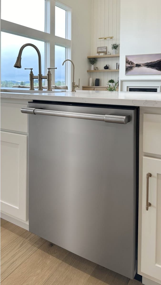 Frigidaire Professional PDSH4816BF Stainless Steel