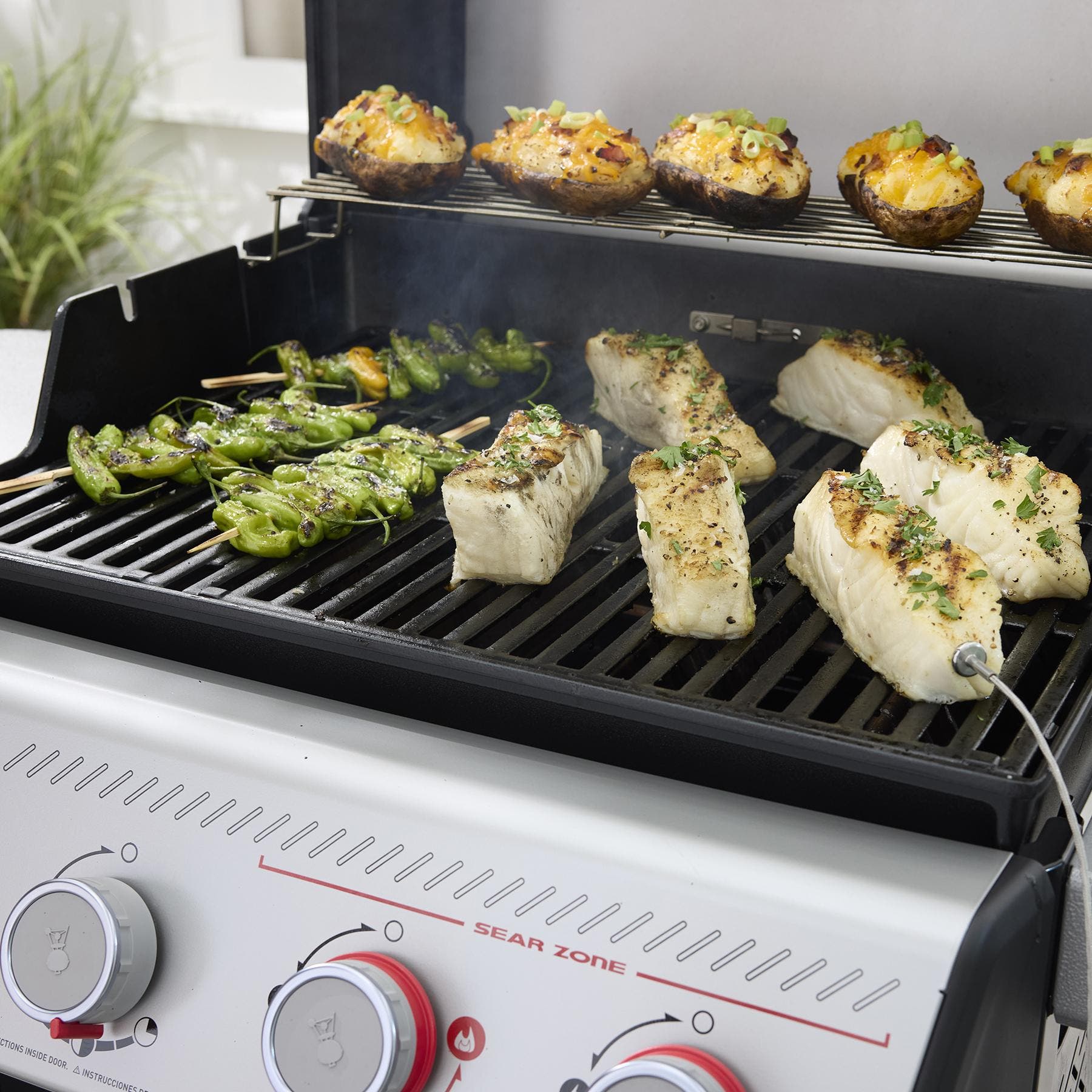 Weber 1502070 Liquid Propane, Black
