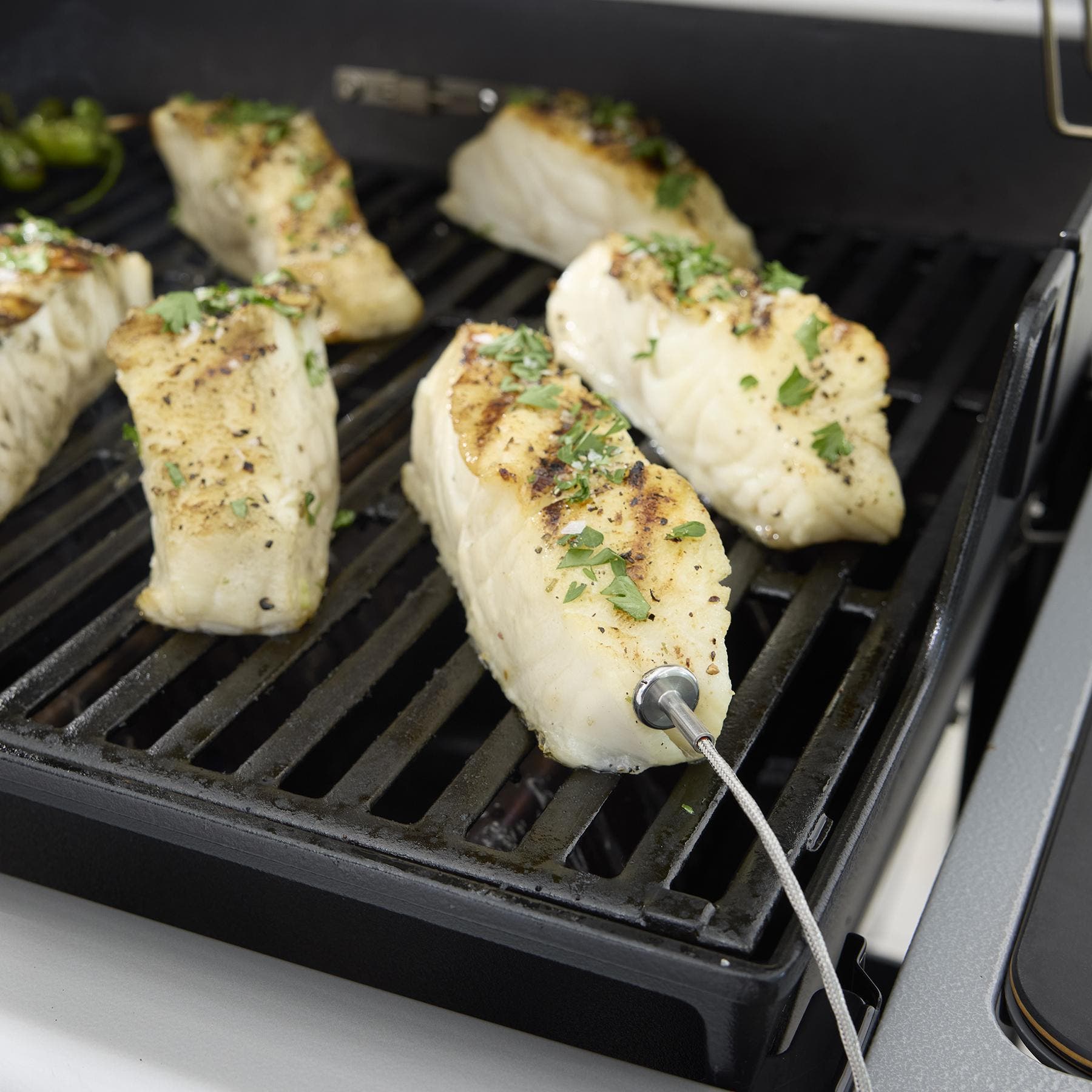 Weber 1501843 Liquid Propane, Black