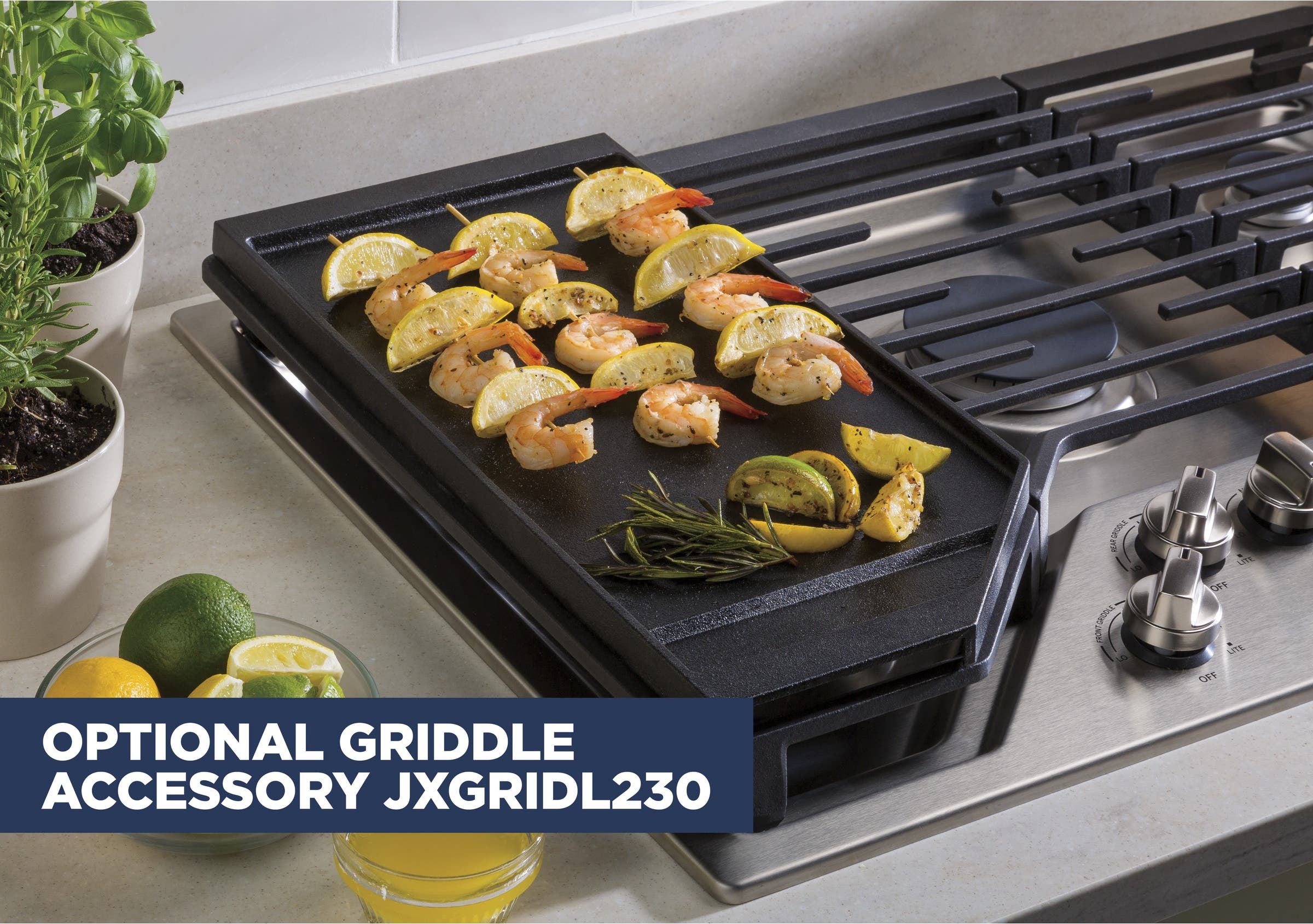 GE JGP5030SLSS Stainless Steel