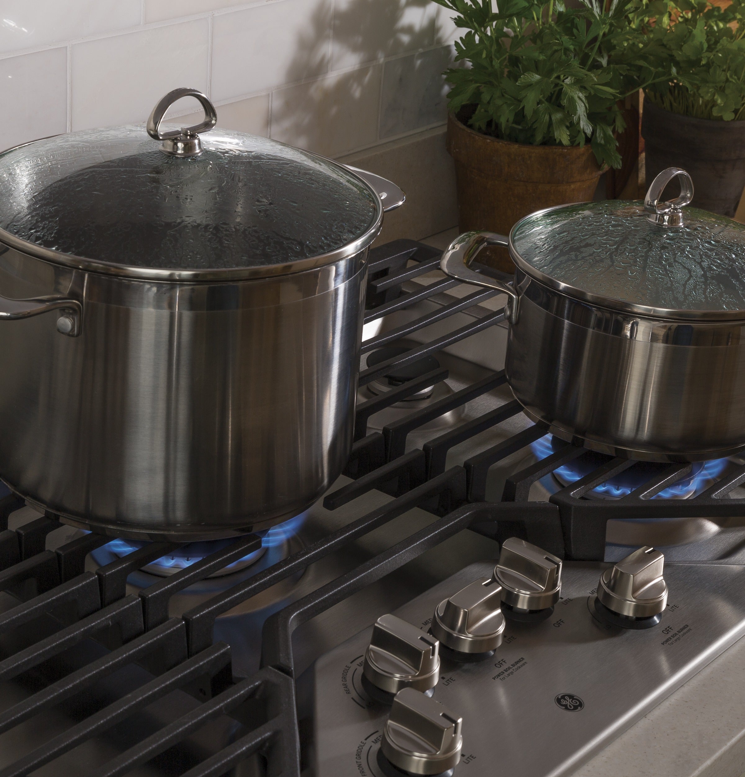 GE JGP5036SLSS 36 Built-In Gas Cooktop Stainless Steel | Plesser's
