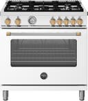 36 Inch Master Series Gas Range With 5 Aluminum Burners