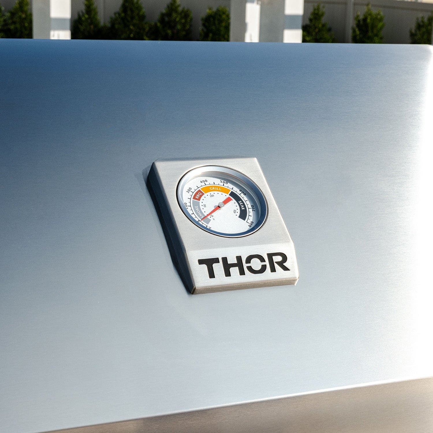Thor TPG3601 Stainless Steel