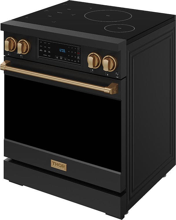 Thor RSI30BBRZ Black With Bronze Color Kit, Lp Coverted