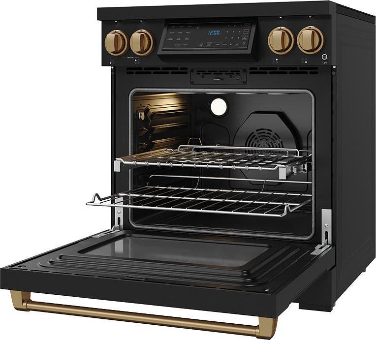 Thor RSI30BBRZ Black With Bronze Color Kit, Lp Coverted