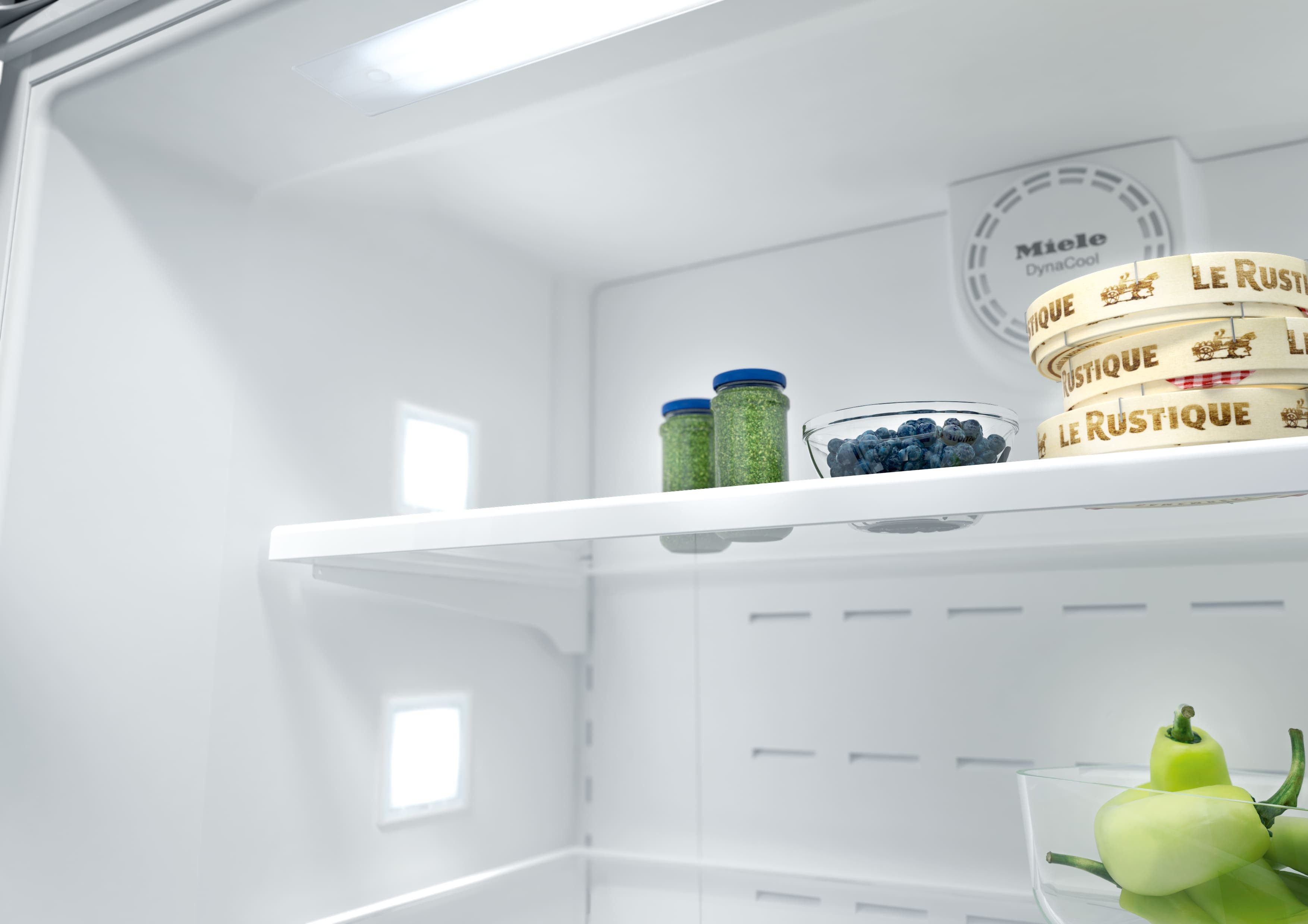 Miele KFNF9959IDE Panel Ready