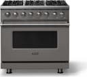36 Inch 6 Burner Dual Fuel Range