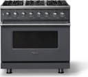 36 Inch 6 Burner Dual Fuel Range