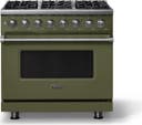 36 Inch 6 Burner Dual Fuel Range