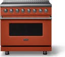 36 Inch 6 Burner Induction Range With Self Cleaning