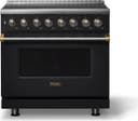 36 Inch 6 Burner Induction Range With Self Cleaning