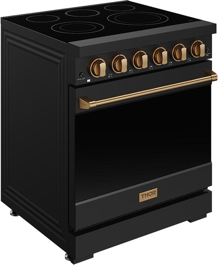 Thor RSE30PBBRZ Black With Bronze Color Kit