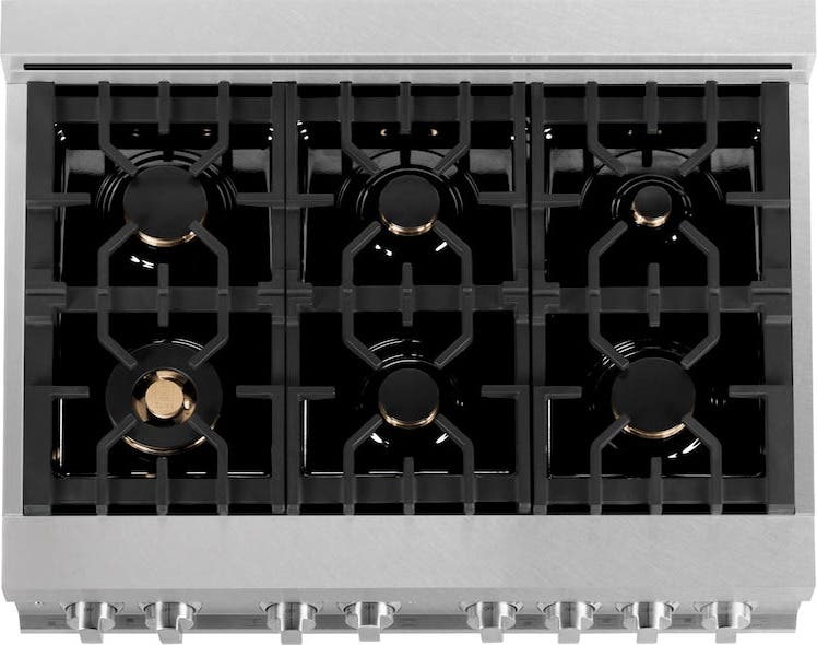 Zline RASSNBRGR36 Fingerprint Resistant Stainless
