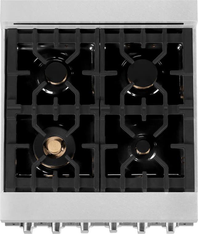 Zline RASSNBR24 Durasnowstainless Steel With Brass Burners
