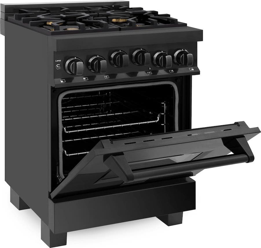 Zline RGB24 Black Stainless Steel