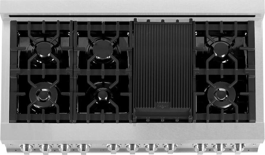 Zline RASSN48 Snow Stainless Steel